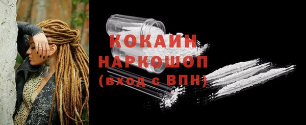 сатива Богданович