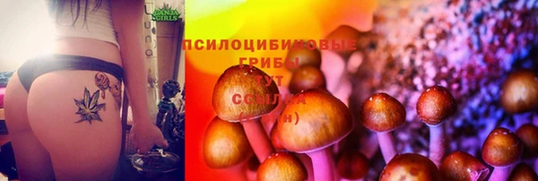 сатива Богданович
