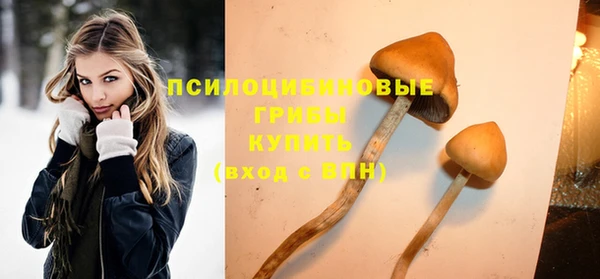 jwh Богородицк