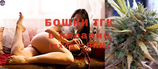 сатива Богданович