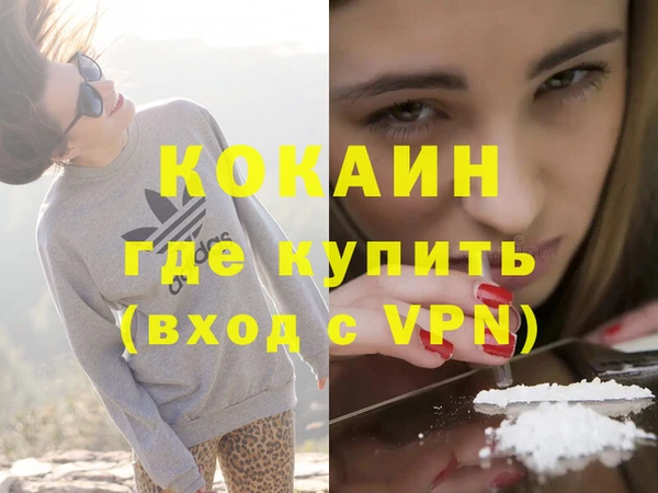 сатива Богданович